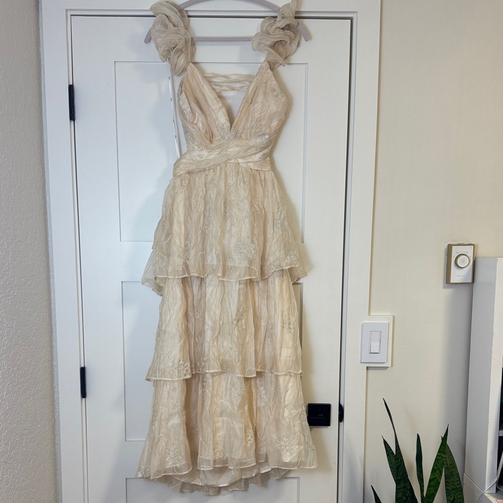 Whimsical Aura Champagne Embroidered Ruffled Lace-up Midi Dress - Picture 5 of 8
